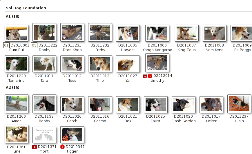 _images/shelterview.png